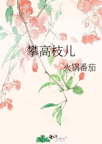 攀高枝儿小饼干完结