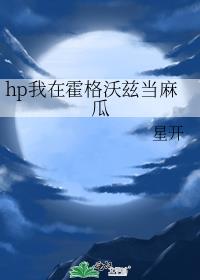 麻瓜王子在霍格沃兹