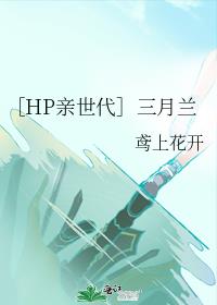 hp之亲世代