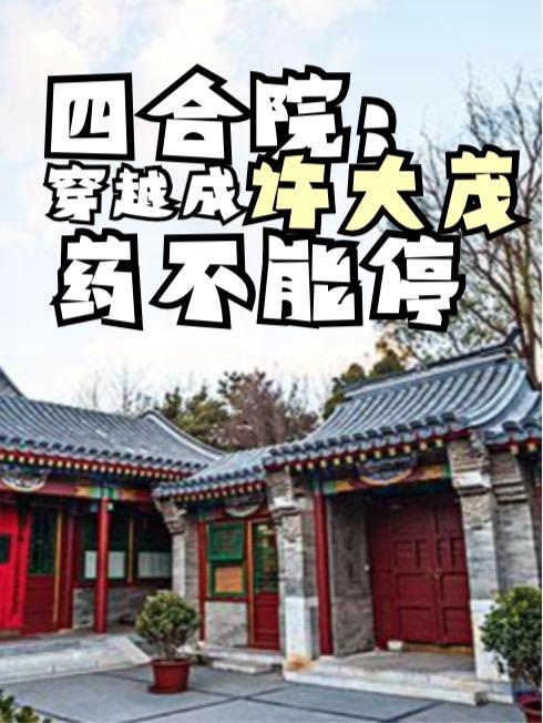 四合院 许大茂 小说