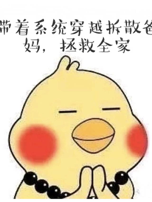 拯救全家的小说