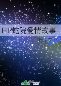 hp霍格沃茨爱情故事