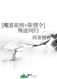 陈情令之同归 小说