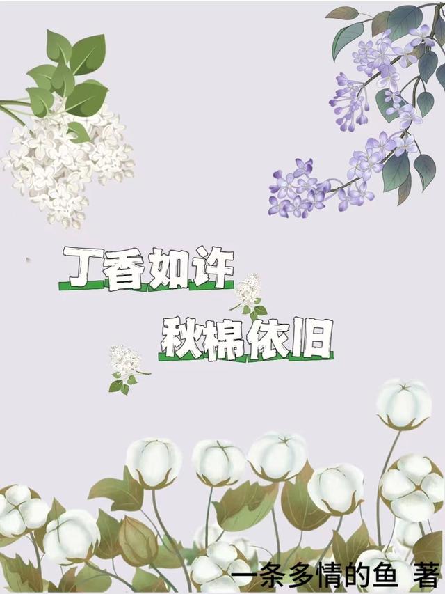 丁香如许秋棉依旧