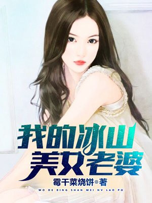 《我的冰山美女老婆》